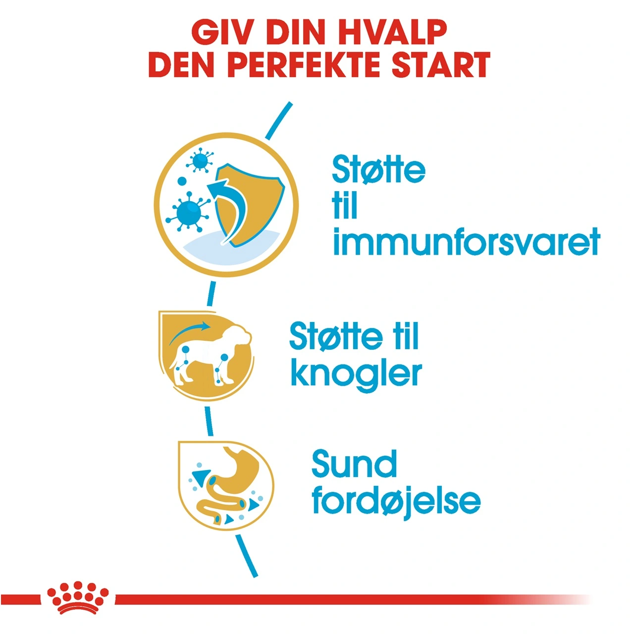 Royal Canin Dachshund Puppy 1,5 kg - tørfoder til Gravhund hvalpe